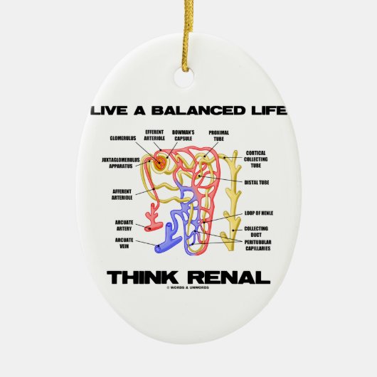 考えます腎臓釣り合った生命は住んでいます(Nephron) セラミックオーナメント (正面)