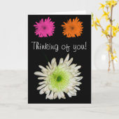 考えるお前だ！ カード (黄色い花)