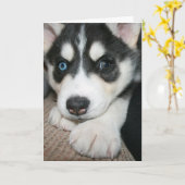 考えるお前だ！ カード (黄色い花)