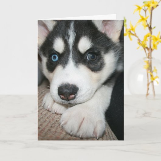 考えるお前だ! カード (黄色い花)