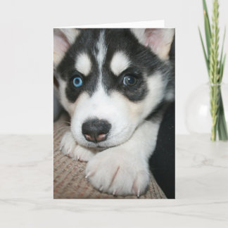 考えるお前だ！ カード