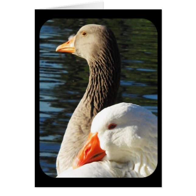 考えるのカード (正面)