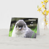 考えるのカード カード (黄色い花)