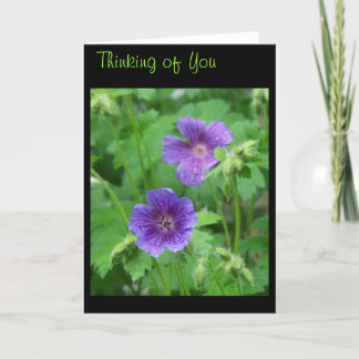 考えるのカード カード