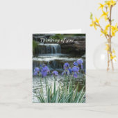 考えるのカード – Irises At Chatau カード (黄色い花)