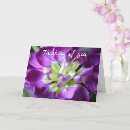 考えるのグリーティングカード カード