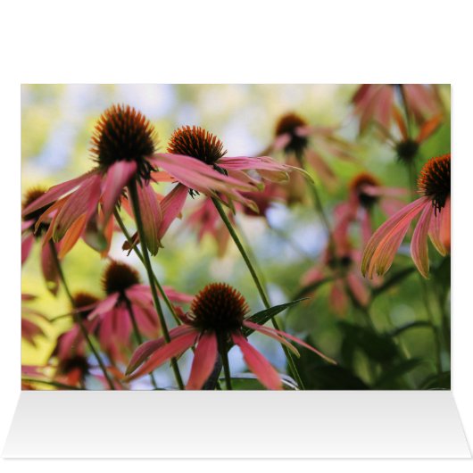 考えるの祈りの言葉 (内部横(上))