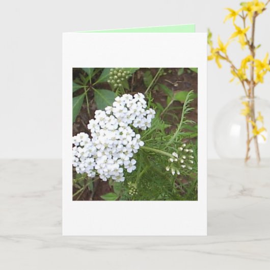 考えるの カード (黄色い花)