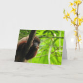 考えるの カード (黄色い花)