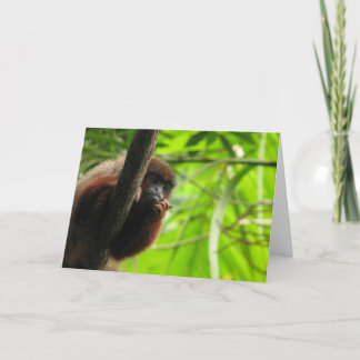 考えるの カード