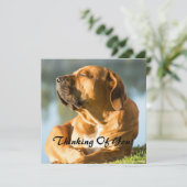 考えるの シーズンカード (スタンド正面)