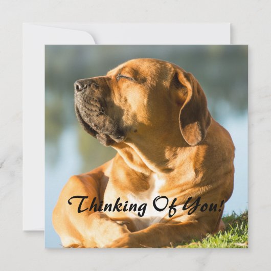 考えるの シーズンカード (正面)