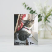 考えるの… ポストカード (スタンド正面)