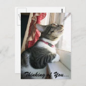 考えるの… ポストカード (正面/裏面)