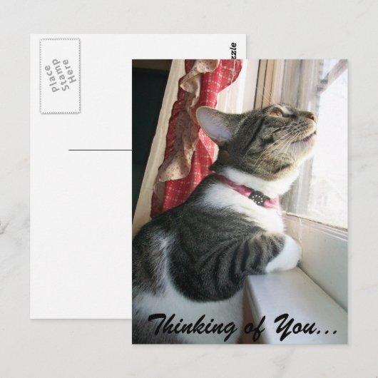 考えるの… ポストカード (正面/裏面)