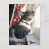 考えるの… ポストカード (正面)