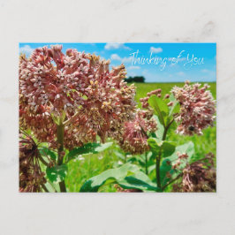 考えるの ポストカード