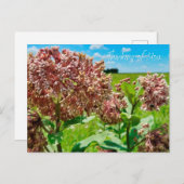 考えるの ポストカード (正面/裏面)