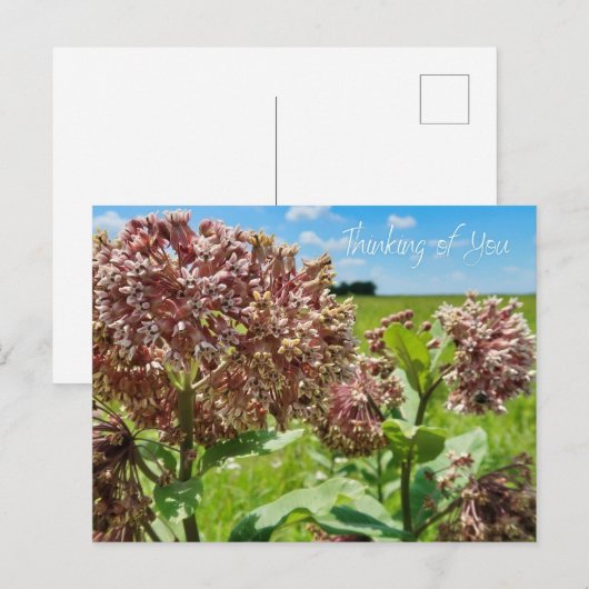 考えるの ポストカード (正面/裏面)