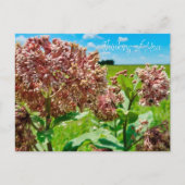 考えるの ポストカード (正面)