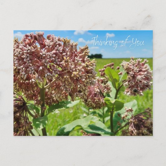 考えるの ポストカード (正面)