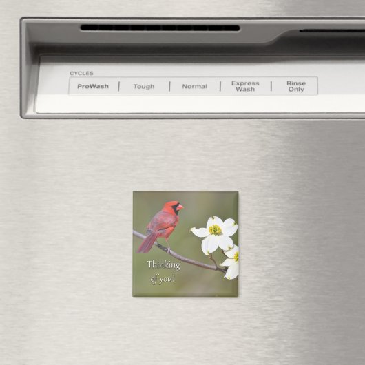 考えるの マグネット (インサイチュ (食洗機))