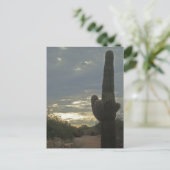 考えるのSaguaro Cactus Photo Peace ポストカード (スタンド正面)