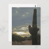 考えるのSaguaro Cactus Photo Peace ポストカード (正面/裏面)