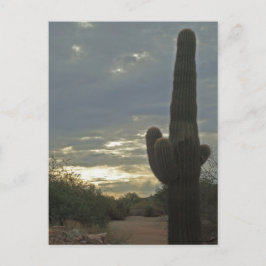 考えるのSaguaro Cactus Photo Peace ポストカード
