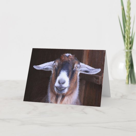 考えるのYgoat Greeting Card カード (正面)