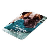 考えるのYouブルドッグ写真悔やみや弔慰マグネット マグネット (左側)