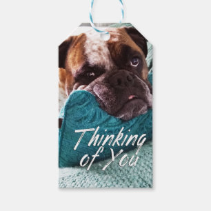 考えるのYou Bulldog写真ギフトラベル ギフトタグ