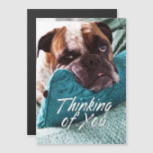 考えるのYou Bulldog Photo Magnetic Card (正面/裏面)