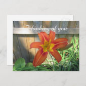 考えるのYou Orange Lily花の写真 ポストカード (正面/裏面)