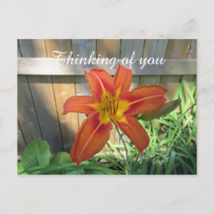 考えるのYou Orange Lily花の写真 ポストカード