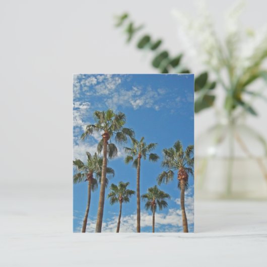 考えるのYou Palm Treesブルースカイパラダイス ポストカード (スタンド正面)