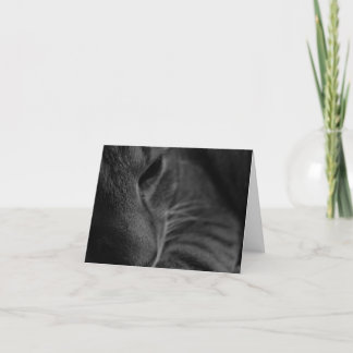 「考える君の…」 カード