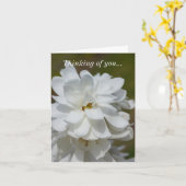 考えるOf You Card - Silky Magnolia カード (黄色い花)