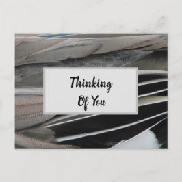 考えるs of You Duck Feather モダン Photo ポストカード