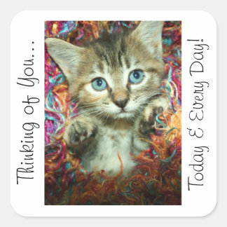 考えステッカーの子猫 スクエアシール