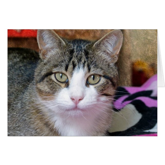 考え中 (正面横)