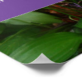 考え今日と話知恵ことわざ写真ポスター ポスター (角)