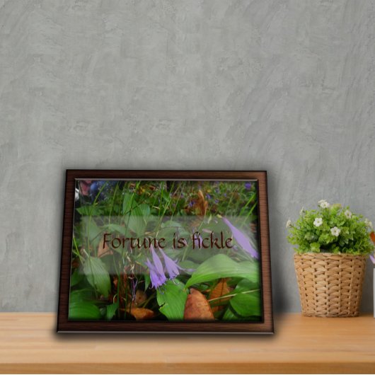 考え今日と話知恵ことわざ写真ポスター ポスター