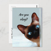 考え君の猫おもしろいがあなたはOK ポストカード (正面/裏面)