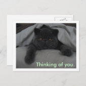考え君の猫はこ恋しく思がき ポストカード (正面/裏面)