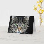 考え君の遠くに怒猫 カード (黄色い花)