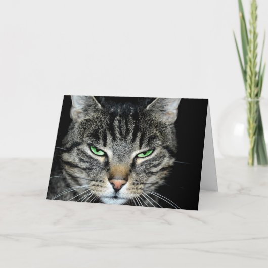 考え君の遠くに怒猫 カード (正面)