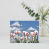 考え春! ポストカード (スタンド正面)