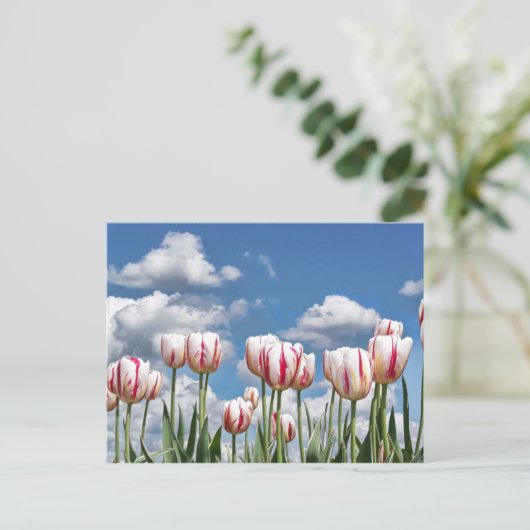 考え春! ポストカード (スタンド正面)