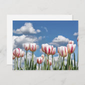 考え春! ポストカード (正面/裏面)